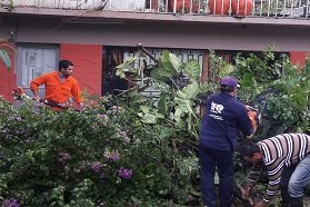 Permanente accionar del Municipio en diferentes sectores de la ciudad