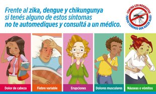 dengue2
